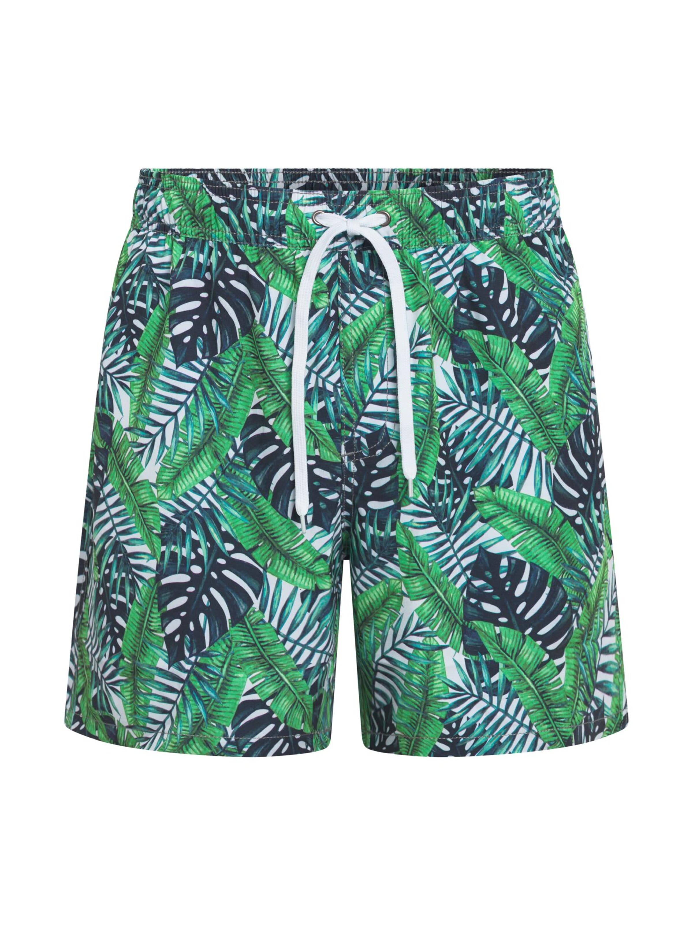 TOOche Board Shorts 'Lugano' in Green: front