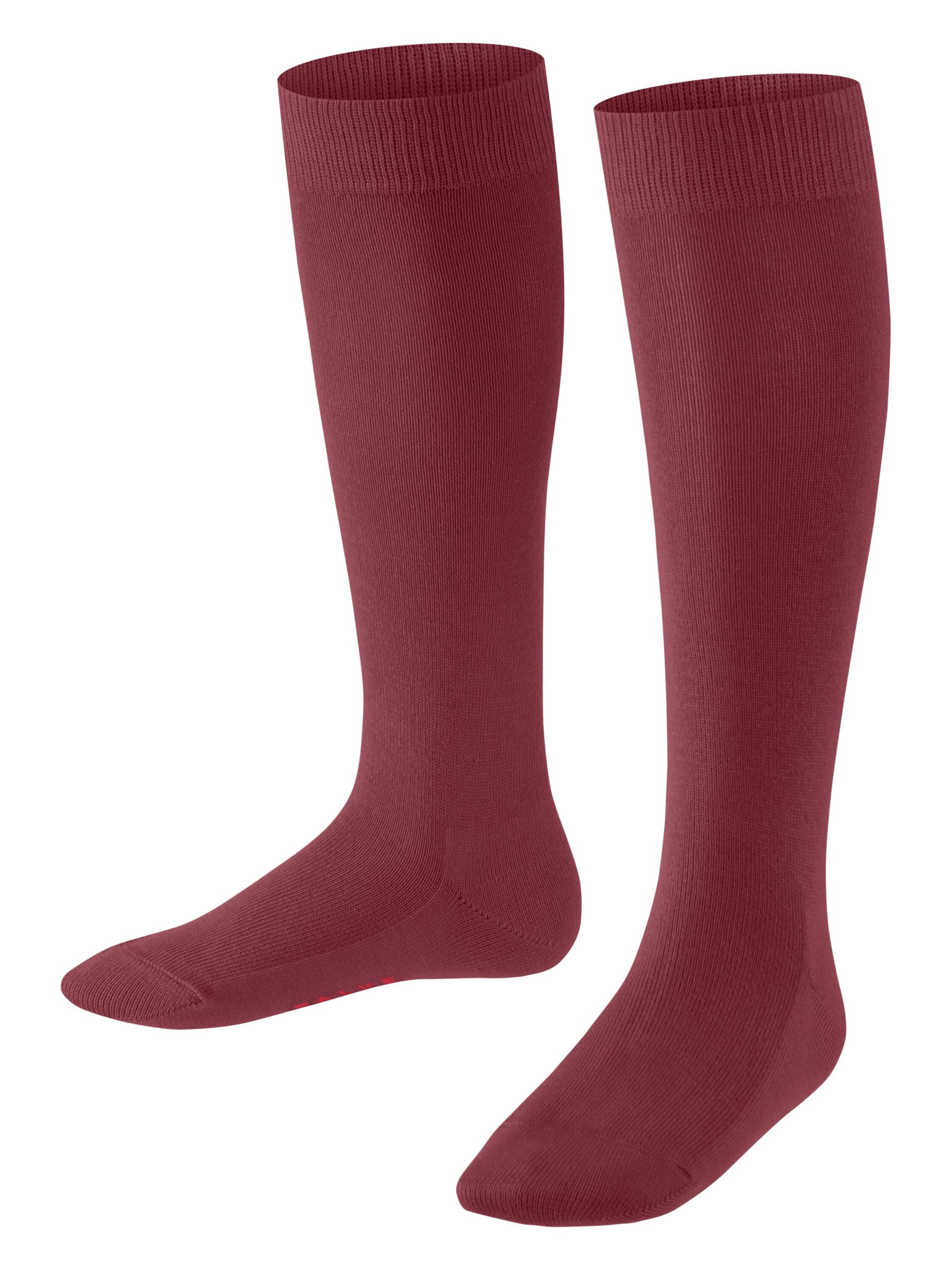 FALKE Socks 'Family' in Red: front