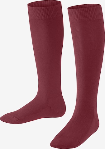 FALKE Socks 'Family' in Red: front