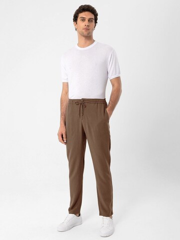 Antioch Regular Chino trousers 'Paolo' in Brown