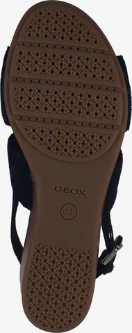 GEOX Sandale in Blau