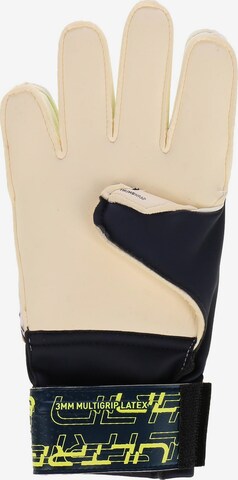 PUMA Athletic Gloves in Blue