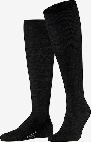 FALKE Knee High Socks 'Airport' in Grey: front