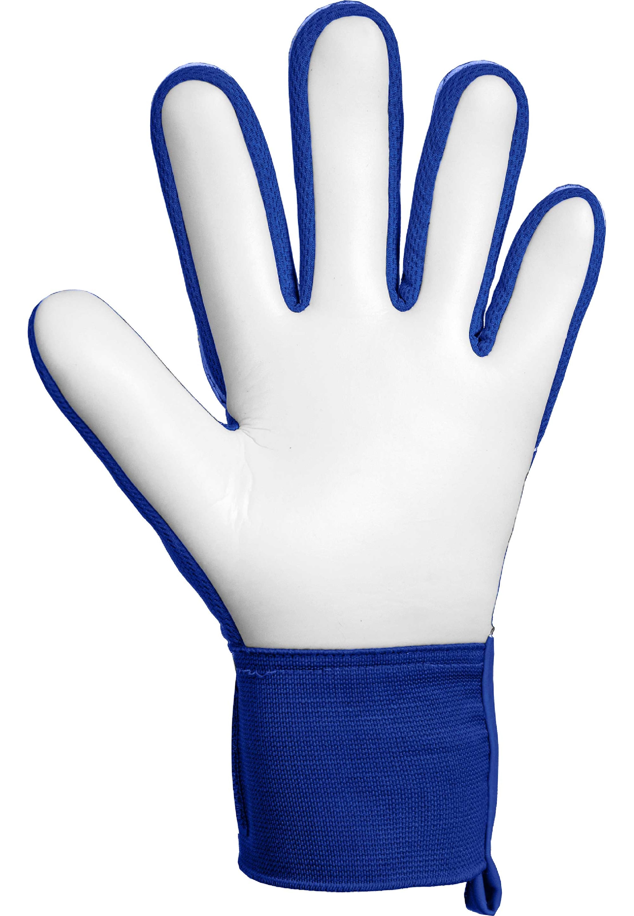 REUSCH Sports gloves 'Attrakt Starter Solid' in Blue