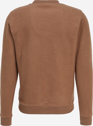 Rotholz Sweatshirt i brun