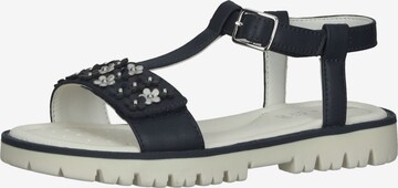 GEOX Sandalen in Blauw: voorkant