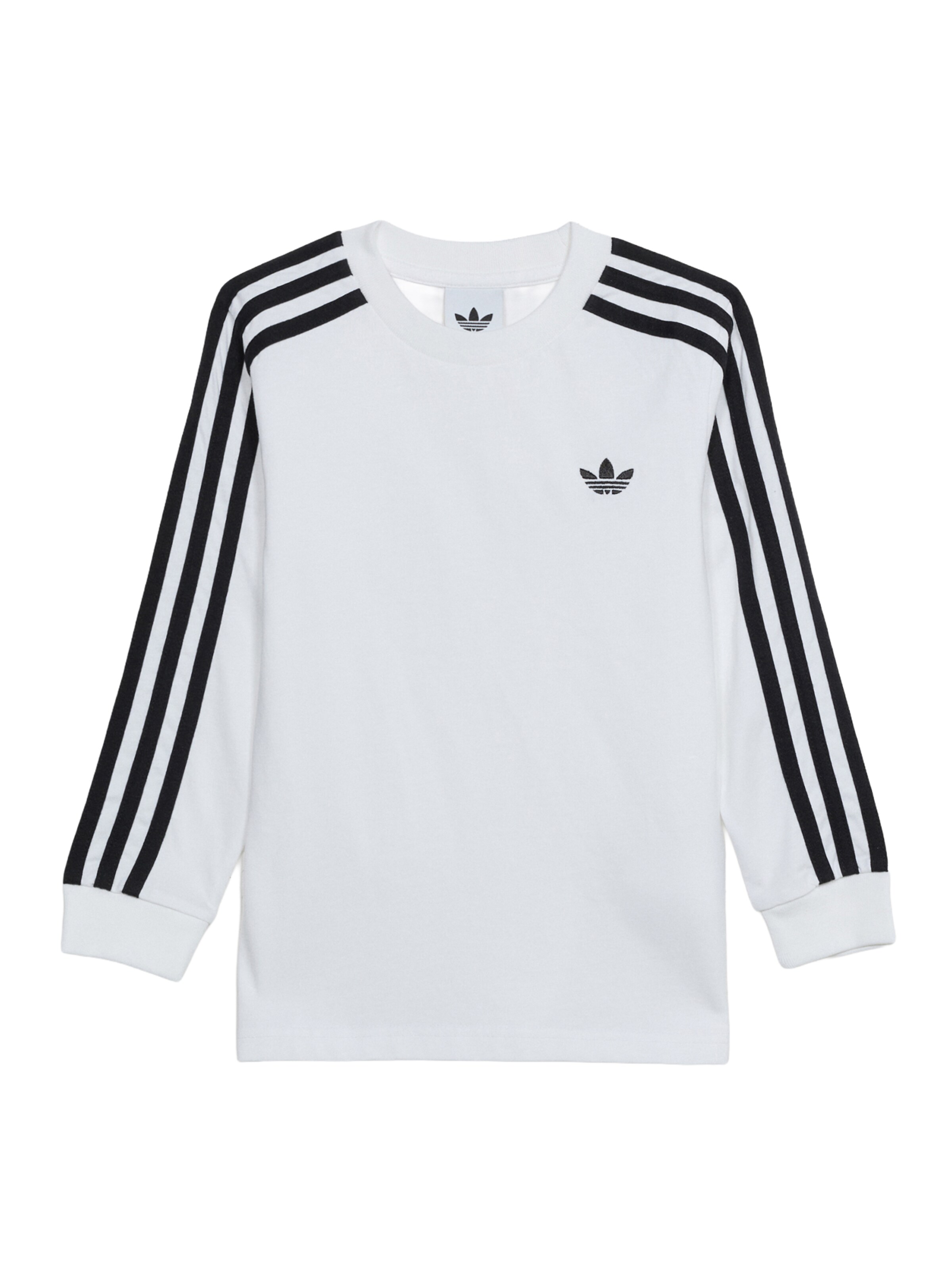 T-Shirt ADIDAS ORIGINALS en blanc : devant