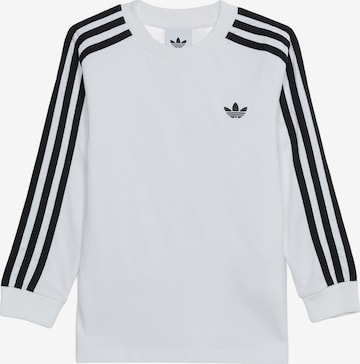 T-Shirt ADIDAS ORIGINALS en blanc : devant