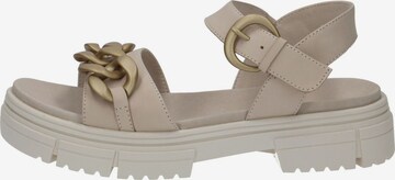 CAPRICE Strap sandal in Beige