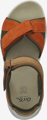 ARA Strap Sandals in Brown