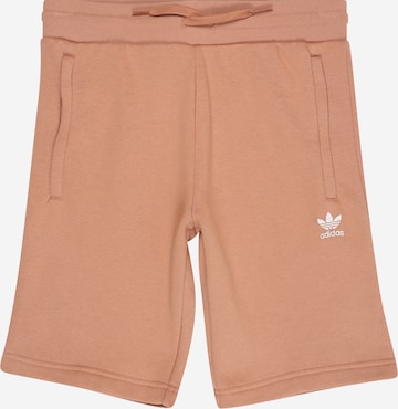 ADIDAS ORIGINALS - regular Pantalón 'Adicolor' en marrón: frente