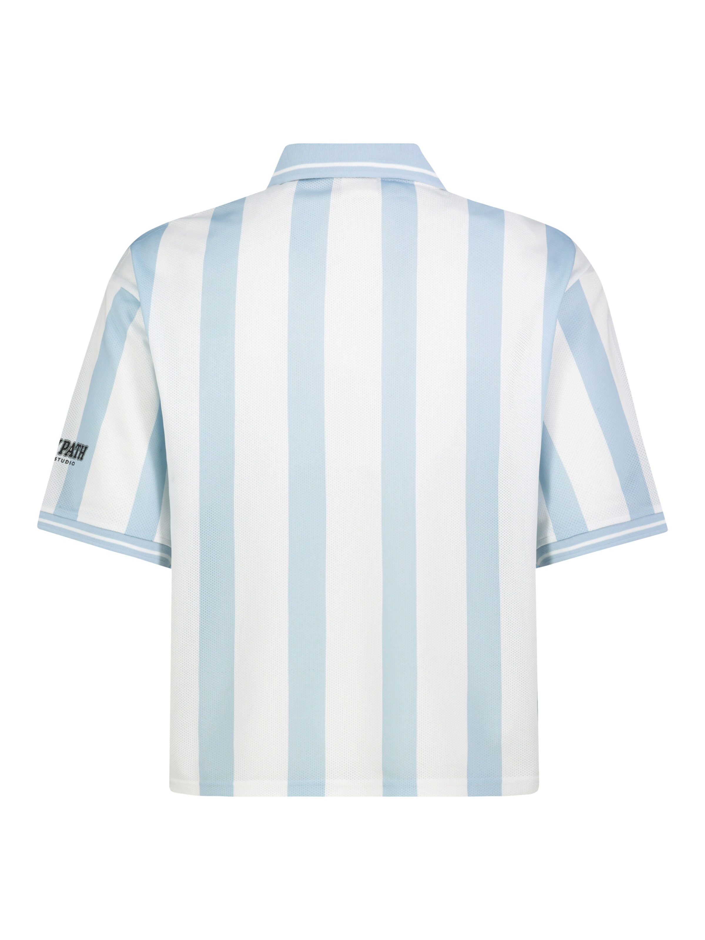 Sublevel Shirt in Blau