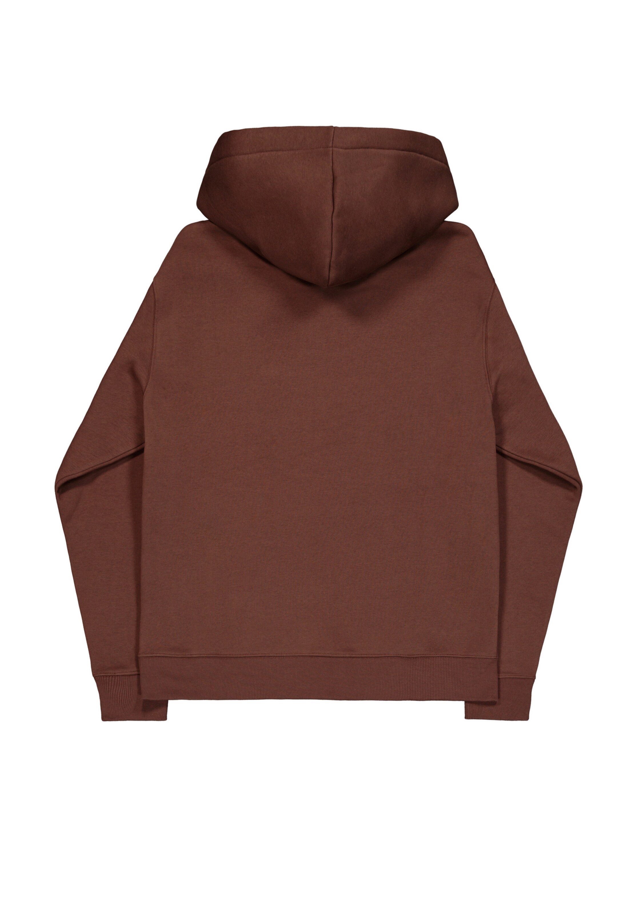 ALPHA INDUSTRIES - Sudadera 'Dtm' en marrón
