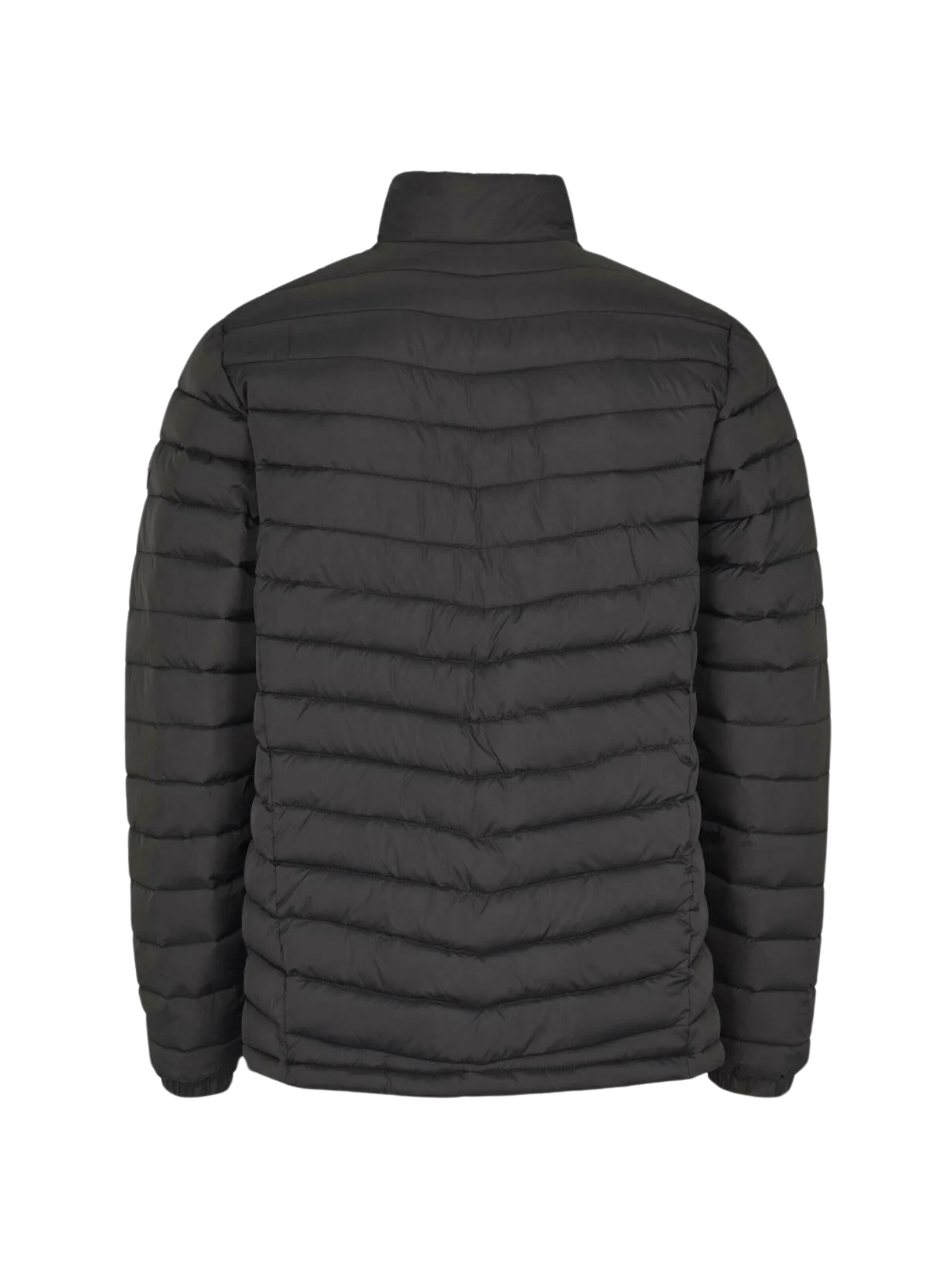 U.S. POLO ASSN. Overgangsjakke 'Chason' i sort