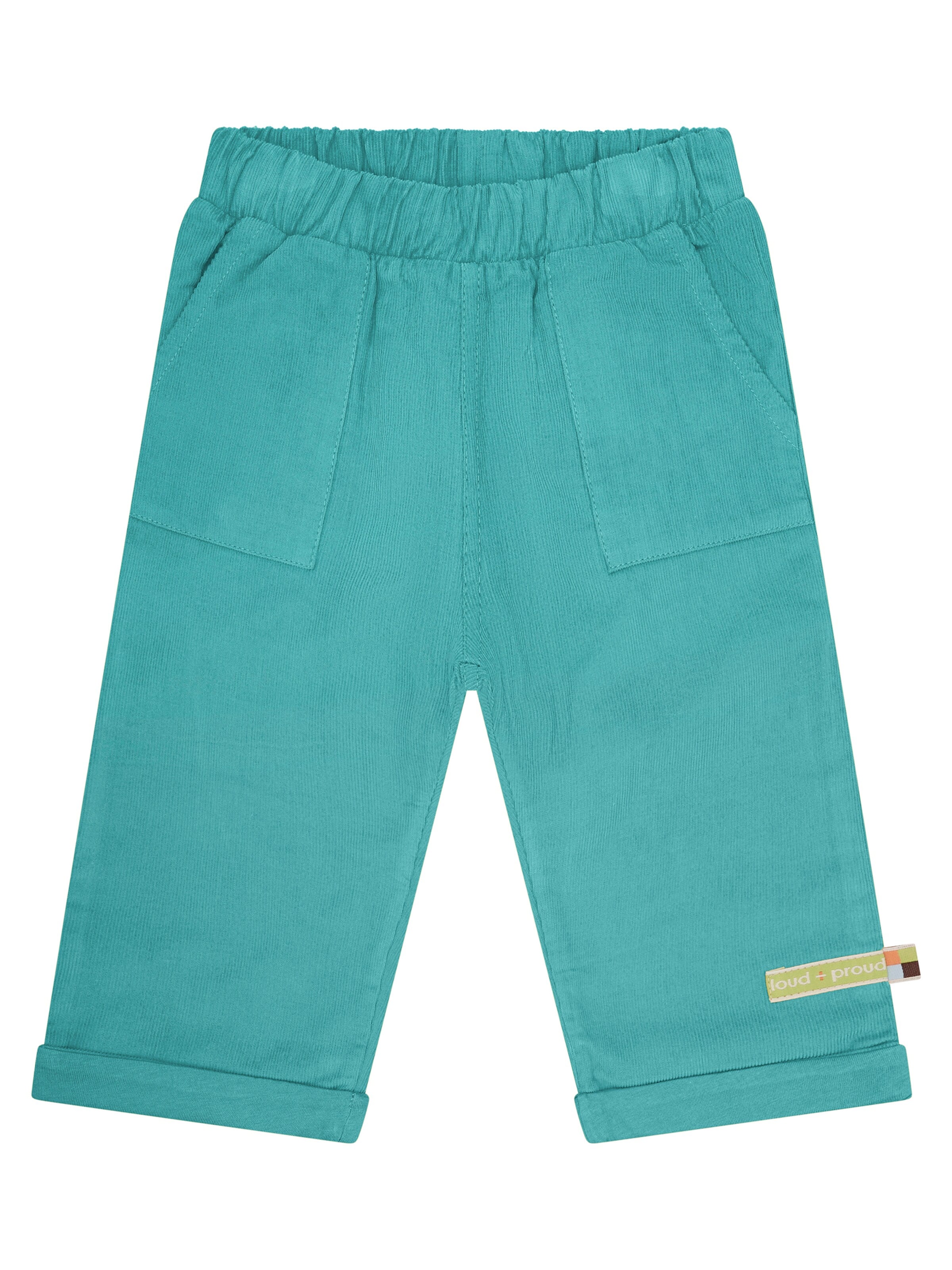 loud + proud Regular Pants in Green: front