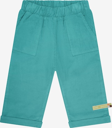 loud + proud Regular Pants in Green: front