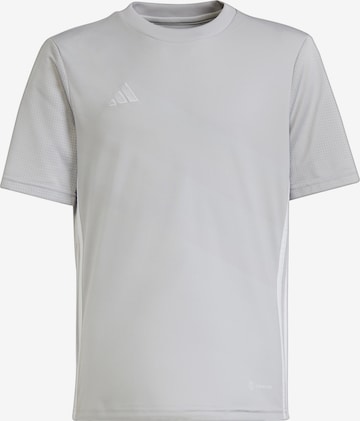 ADIDAS PERFORMANCE Performance Shirt 'Tabela 23' in Grey: front