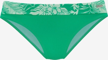 VENICE BEACH Bikinihose in Grün: Vorderseite