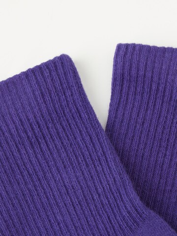 CALZEDONIA Socks in Purple