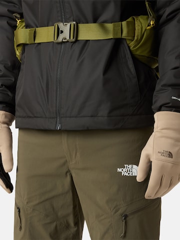 THE NORTH FACE Vingerhandschoenen 'Etip' in Groen