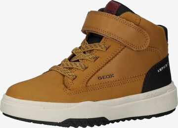 Baskets GEOX en marron : devant