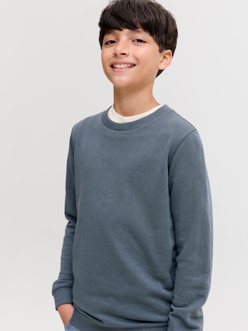 Jack & Jones Junior Sweatshirt in Grey