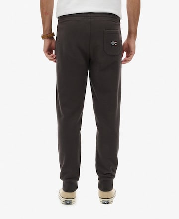 Effilé Pantalon 'Essential' Superdry en marron