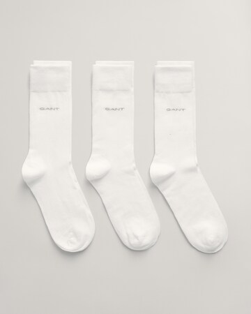 GANT Κάλτσες σε λευκό