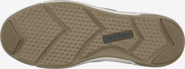 JOSEF SEIBEL Classic Flats 'Enrico 24' in Brown