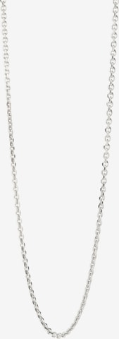 P D PAOLA Necklace in Silver: front