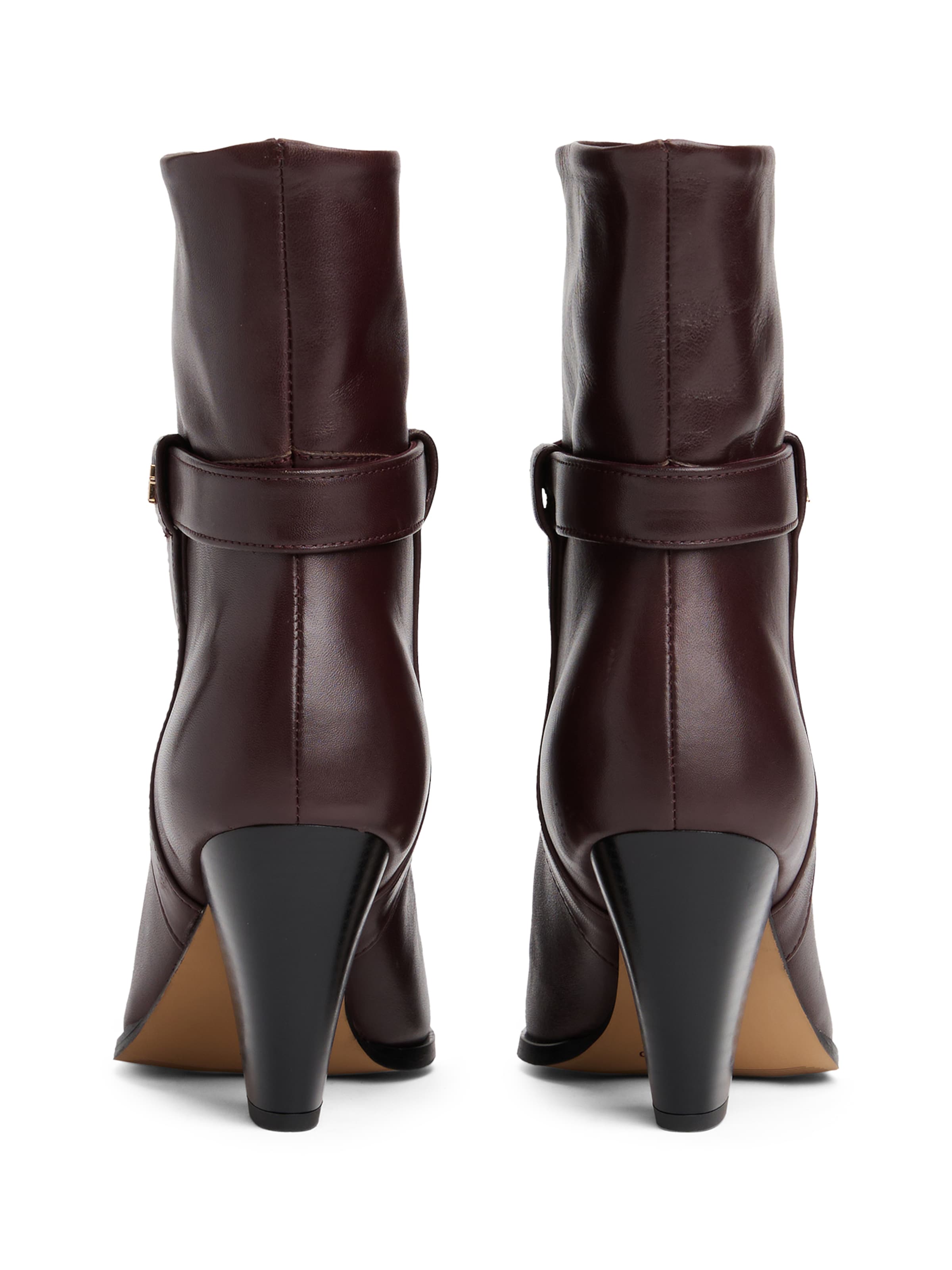 TOMMY HILFIGER Ankle Boots in Brown