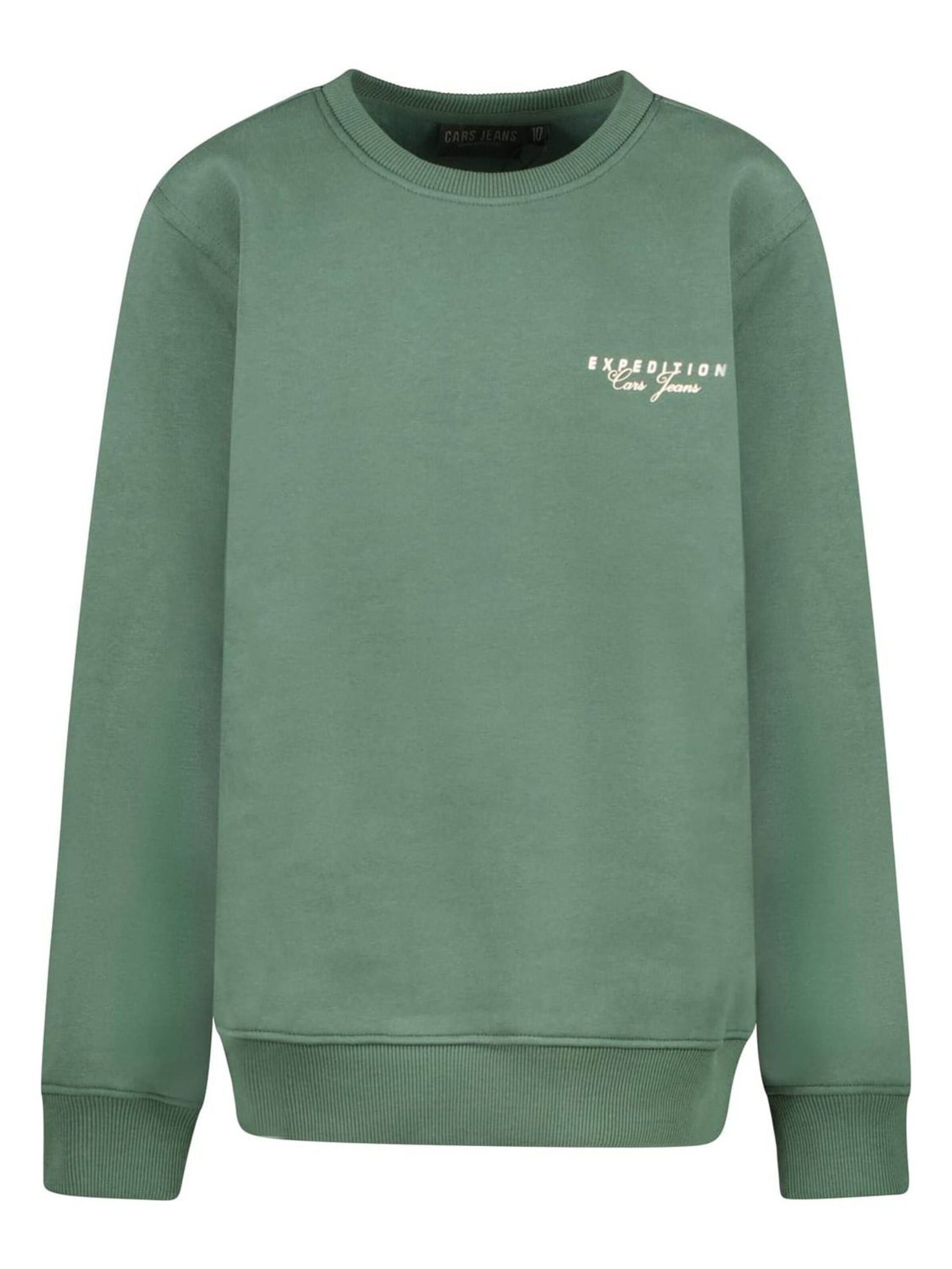 CARS Sweatshirt in Green: front