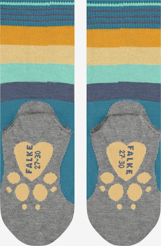 FALKE Socks 'Active Fox' in Green: front