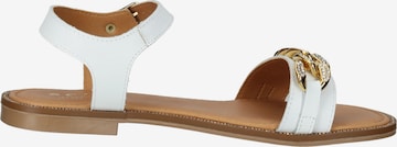 SCAPA Strap Sandals in White