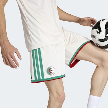 regular Pantaloni sportivi 'Algeria 26 Home' di ADIDAS PERFORMANCE in bianco