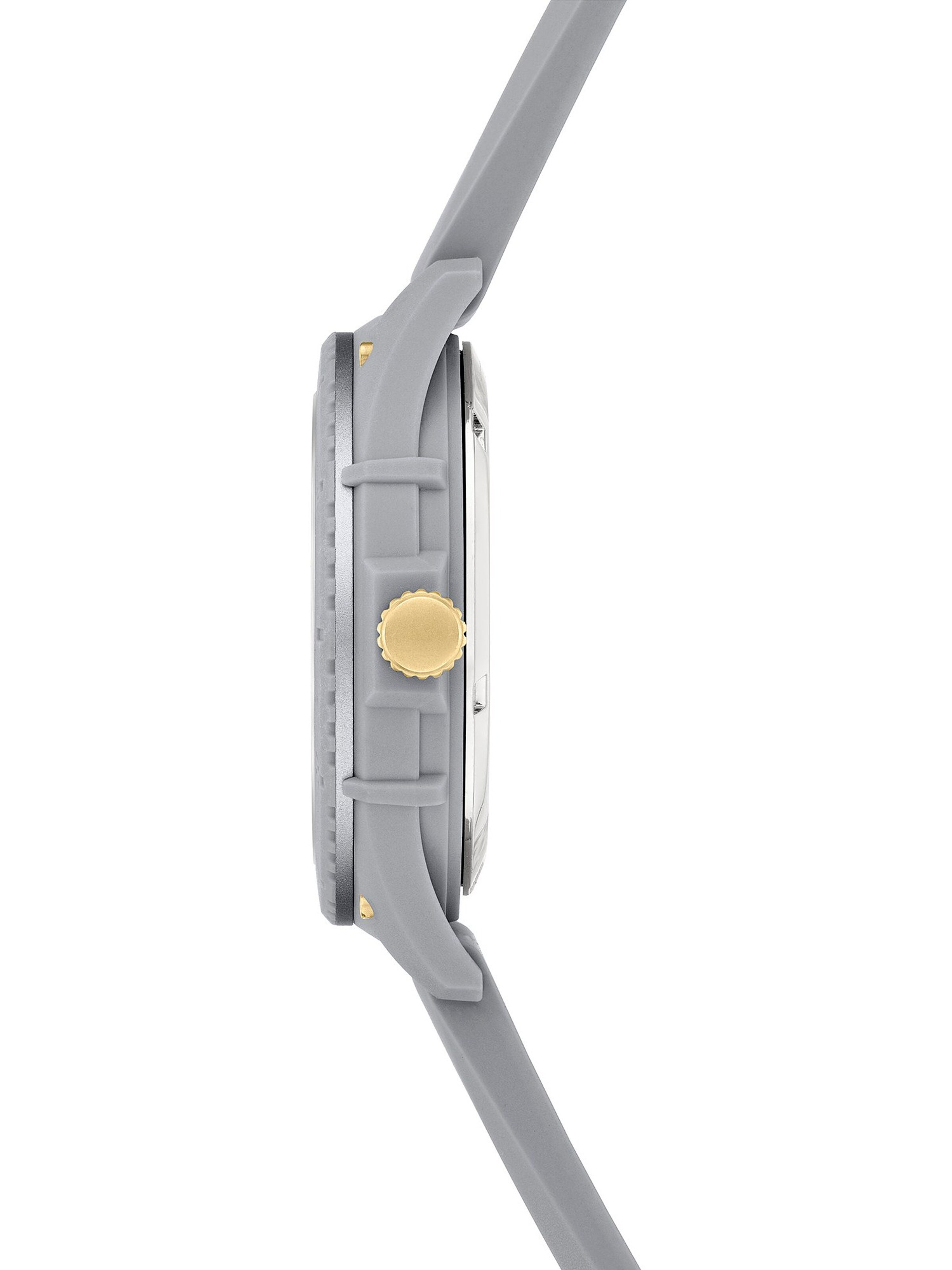 Liebeskind Berlin Analog watch in Grey