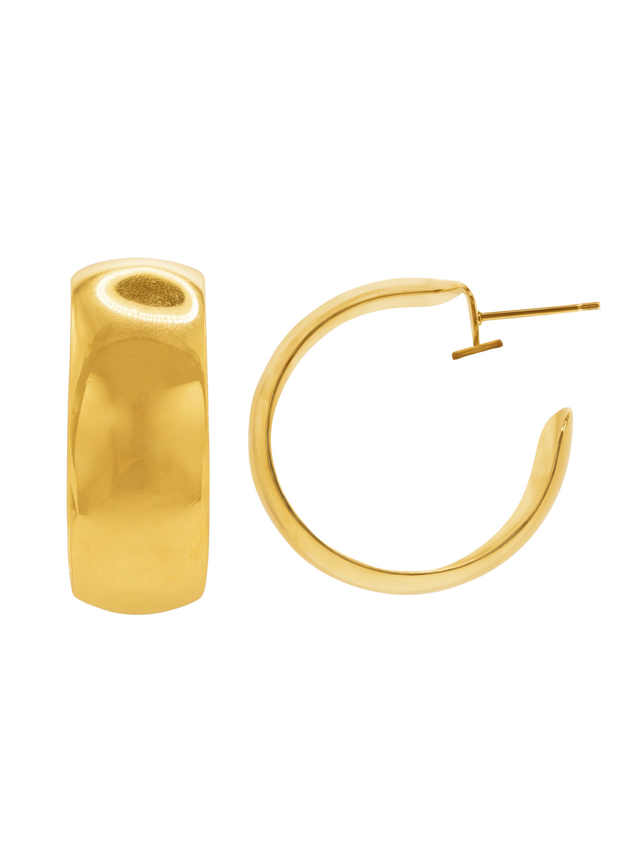 Heideman Earrings 'Nerva ' in Gold