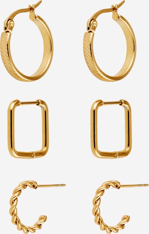 Boucles d'oreilles 'SKERS' ALDO en or : devant