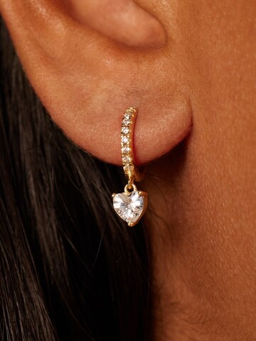 Lucardi Earrings in Gold: front