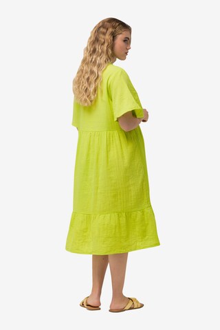 Ulla Popken Dress in Green
