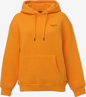 DSCVR Sweatshirt in Orange: predná strana