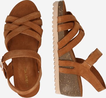 ABOUT YOU Strap sandal 'Miriam' in Brown