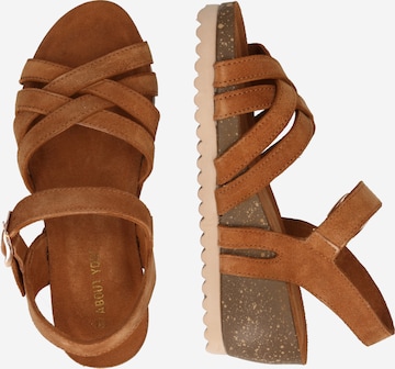 ABOUT YOU Strap Sandals 'Miriam' in Brown