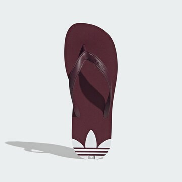 Tongs 'Adi Sun' ADIDAS ORIGINALS en rouge