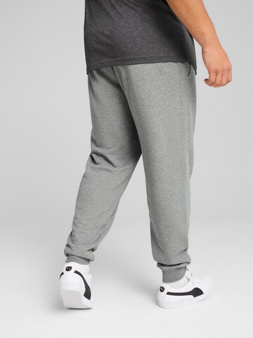 PUMA Tapered Sporthose 'Ess No. 1' in Grau