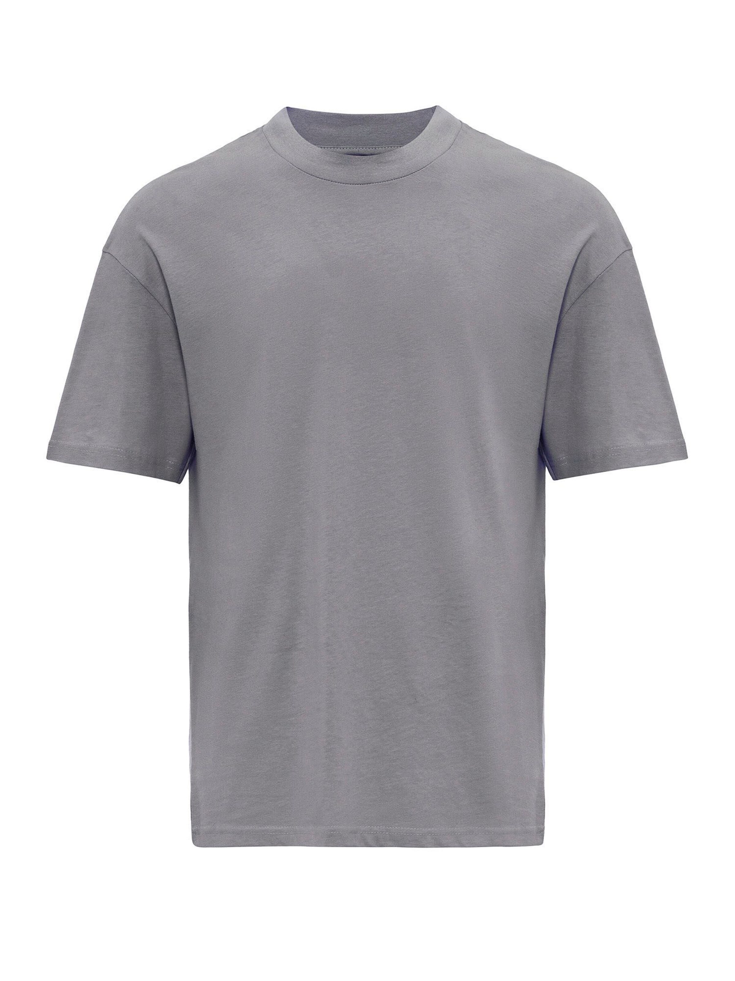 Maglietta di Antioch in grigio