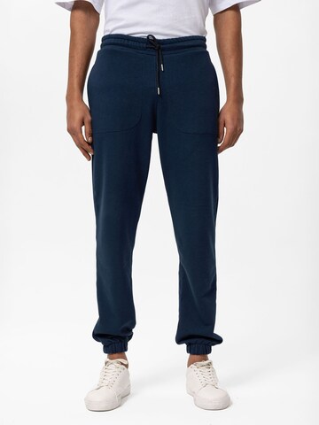 Cool Hill Tapered Trousers in Blue: front