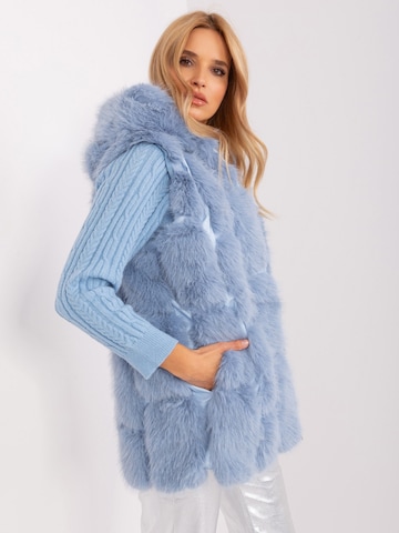 Madnezz House Weste in Blau