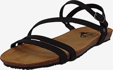 Sandales Plakton en noir : devant