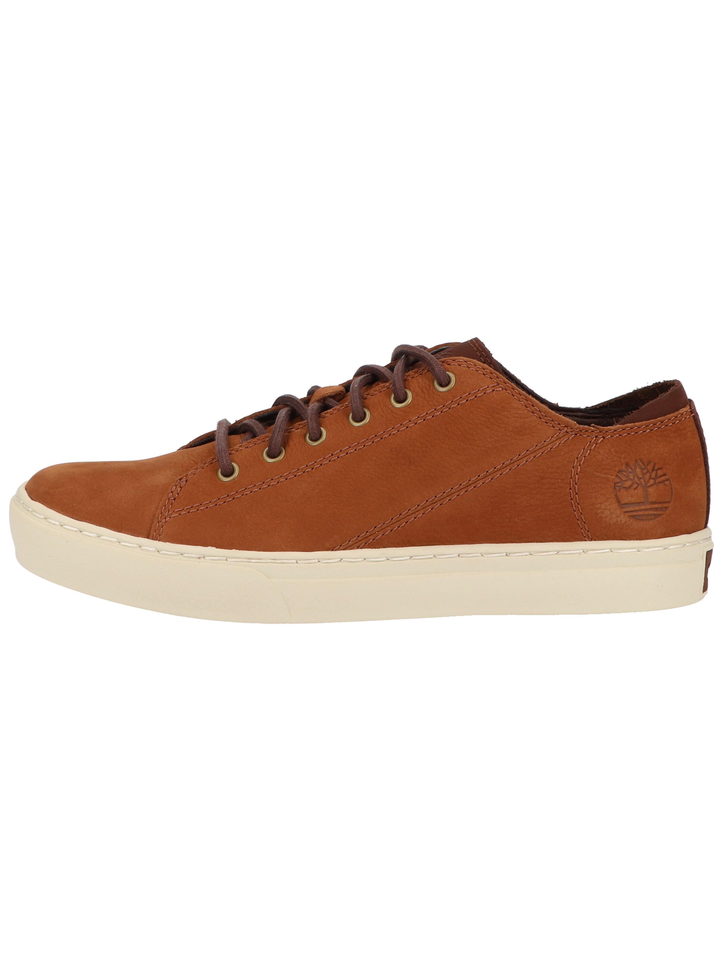 TIMBERLAND Sneaker in Braun